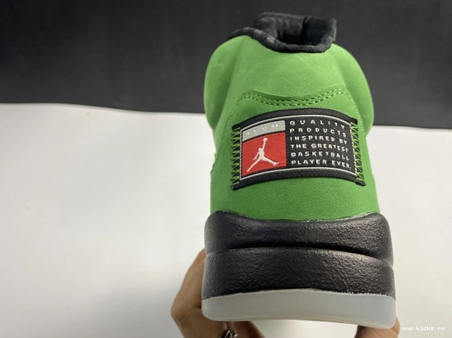Rep Onekick 5 CK6631-307 Air Jordan SE Oregon Ducks 0607